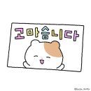 이명순미용실 | [Wedding ep.9] 본식스냅 계약후기 / 그라치아스냅