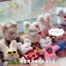 안성여자고등학교 | [안성출강] 모루인형 &amp; 석고방향제 출강 기록