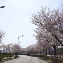 두릉3길 이미지