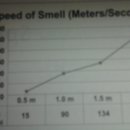 Describing a Graph 이미지