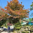 매봉힐링캠프 이미지