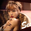 시크릿(secret)헤어 이미지