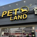 도그랜드 | 강아지 눈물사료 추천 화이트 도그 어덜트 무료배송 구매는 펫랜드