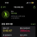 로이노엘