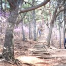 은봉어린이공원 이미지