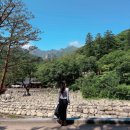 대불공원 우측 이미지