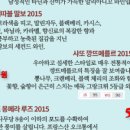 라빈 플러스 이미지