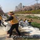 원당천 국제뉴스