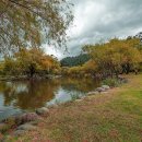 원촌삼거리~엑스포공원 | 정원 사회학으로 본 도시브랜드를 바꾸는 정원의 힘