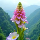 사유시