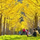 은행1리 이미지