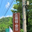 소똥령이야기 이미지