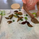 오산초등학교 이미지