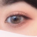 나라꽃안경 이미지