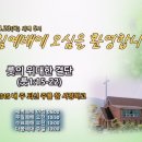 룻의 위대한 결단 (룻 1:15-22) 이미지