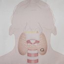 조정훈유바외과의원 이미지