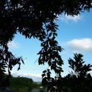 미시시피 이미지