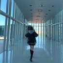 YEAR TRIP : 3박 4일 오키나와 여행 1일차 : 12월 31일, 나하공항, 우미카지테라스, 국제거리야키니쿠킹