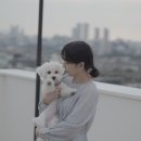 WR(서울특별시 광진구)-[용마산로]-하-36 | 【스튜디오 잇 it】 광진구 렌탈 스튜디오 루프탑 셀프 촬영 후기 (feat.반려동물)