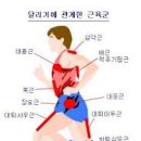 운동에반하다신봉점 이미지