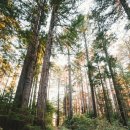 경희수 한방약국 이미지