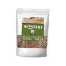 베라 이미지