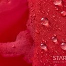 (주)업실링 이미지