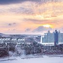 아일랜드리솜 이미지