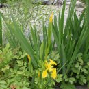 고기연구소 이미지