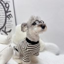 유달스 네이버블로그