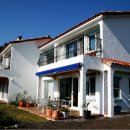 올리브낭 이미지