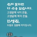 막걸리와 멸치 이미지