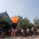 일락당 이미지