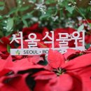 7월6일(토)1시~비오는 날 서울식물원관람~호수공원 함께 걸어요~^^ 이미지