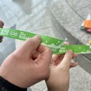 2025 부산 궁디팡팡 캣페스타 후기