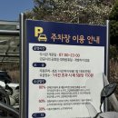 남산작은도서관 | 서울 여행 남산도서관 이용후기 주말 주차장 요금 + 남산타워 목련 개화상황 3/24 방문