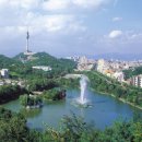 두류공원 이미지