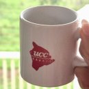 커피아일랜드 | ☕ 빅아일랜드 UCC 커피농장 후기｜무료 시음·운영시간·솔직 리뷰