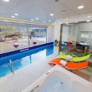 젤코바480 이미지