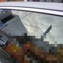 종이창문 | 천안 썬팅 시공잘하는 곳 후퍼옵틱 업성점 브릿지에서 썬팅 재시공 내돈내산 후기