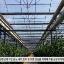 델텍스 티스토리