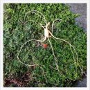 장백농장 이미지