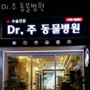 Dr. 주 동물병원 이미지