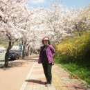 목포 유달산 봄나들이~~~ 이미지
