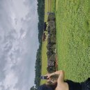 세원목장 이미지