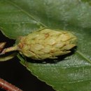 목우한의원 이미지