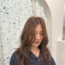 히피스트