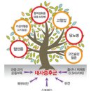 대사로 이미지