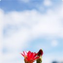 🌺 8월 13일 "마음 헤아리기" 이미지