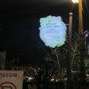 진해 군항제 벚꽃 개화 상황 및 야시장 정보